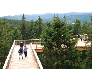 Een deel van het houten pad van het boomkroonpad Lipno (2012)