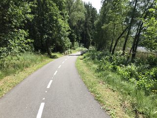 Fietspad tussen Frymburk en Lipno nad Vltavou langs het meer (2017)