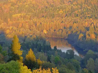 Landschap in Letland