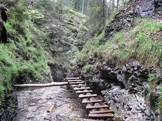 Houten trappen in de Sucha Belá-kloof in het Slowaaks Paradijs