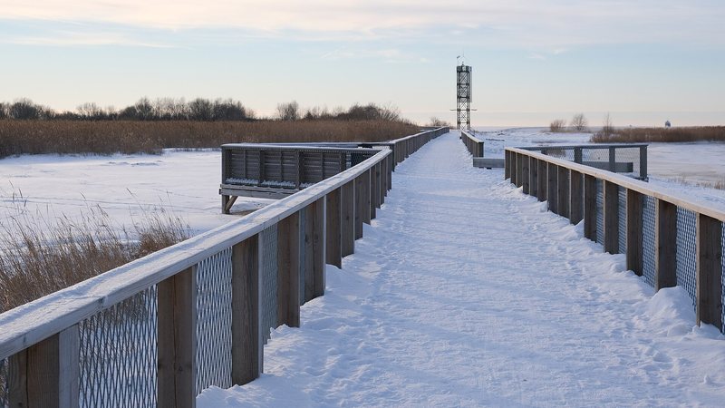 Besneeuwd pad in het Rannapark van Pärnu