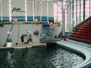Sfeerfoto, niet Delfinarium Constanța: dolfinarium van Varna (Bulgarije)