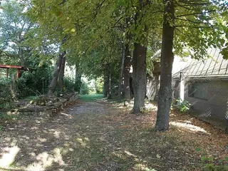 Nationaal park Balaton-felvidék, Noordkust Balaton