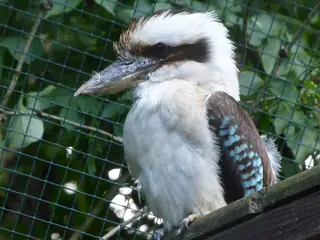 Zoo Veszprém, Veszprém