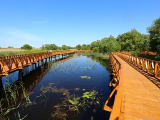 Natuurpark Kopački rit, Bij Osijek (Bilje)