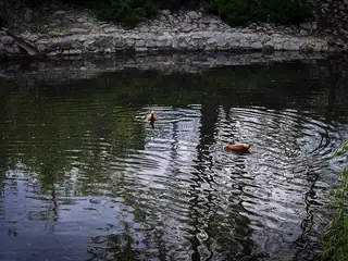 Grădina Zoologică Chișinău, Chișinău