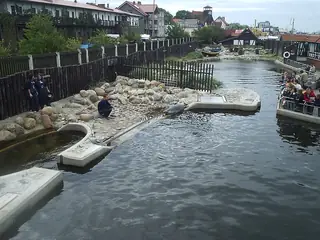 Zeehondencentrum Hel, Hel