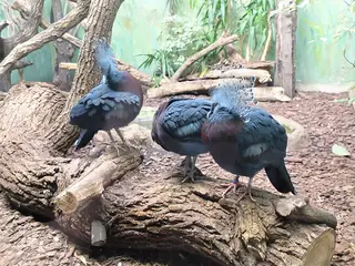 Zoo Warszawa, Warschau
