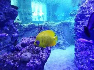 ZOO Wrocław met Afrykarium, Wrocław