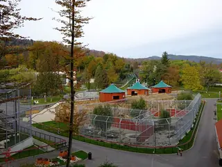 Zoo Brașov, Brașov