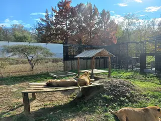 Zoo Sibiu, Sibiu