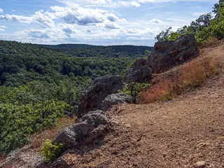 Nationaal park Fruška gora, Bij Novi Sad
