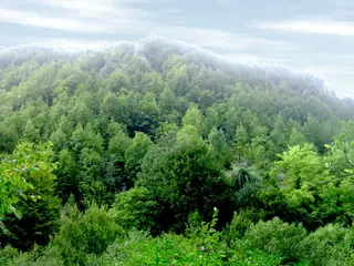 Nationaal park Tara, Bajina Bašta