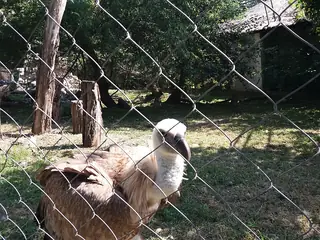 Zoo Palić, Palić (bij Subotica)