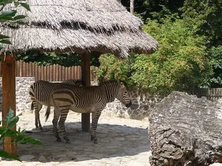 Národná zoo Bojnice, Bojnice
