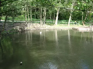 ZOO Košice, Košice