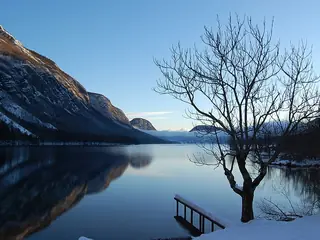 Meer van Bohinj in het Triglav Nationaal Park