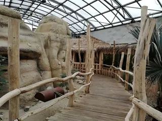 Safari Park Dvůr Králové, Dvůr Králové nad Labem