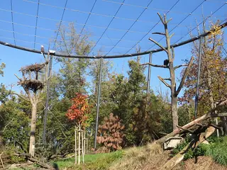 Zoo Brno, Brno