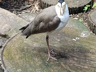Zoo Ostrava, Ostrava