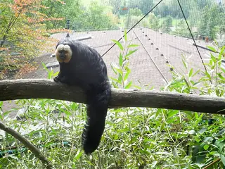 Zoo Plzeň, Pilsen