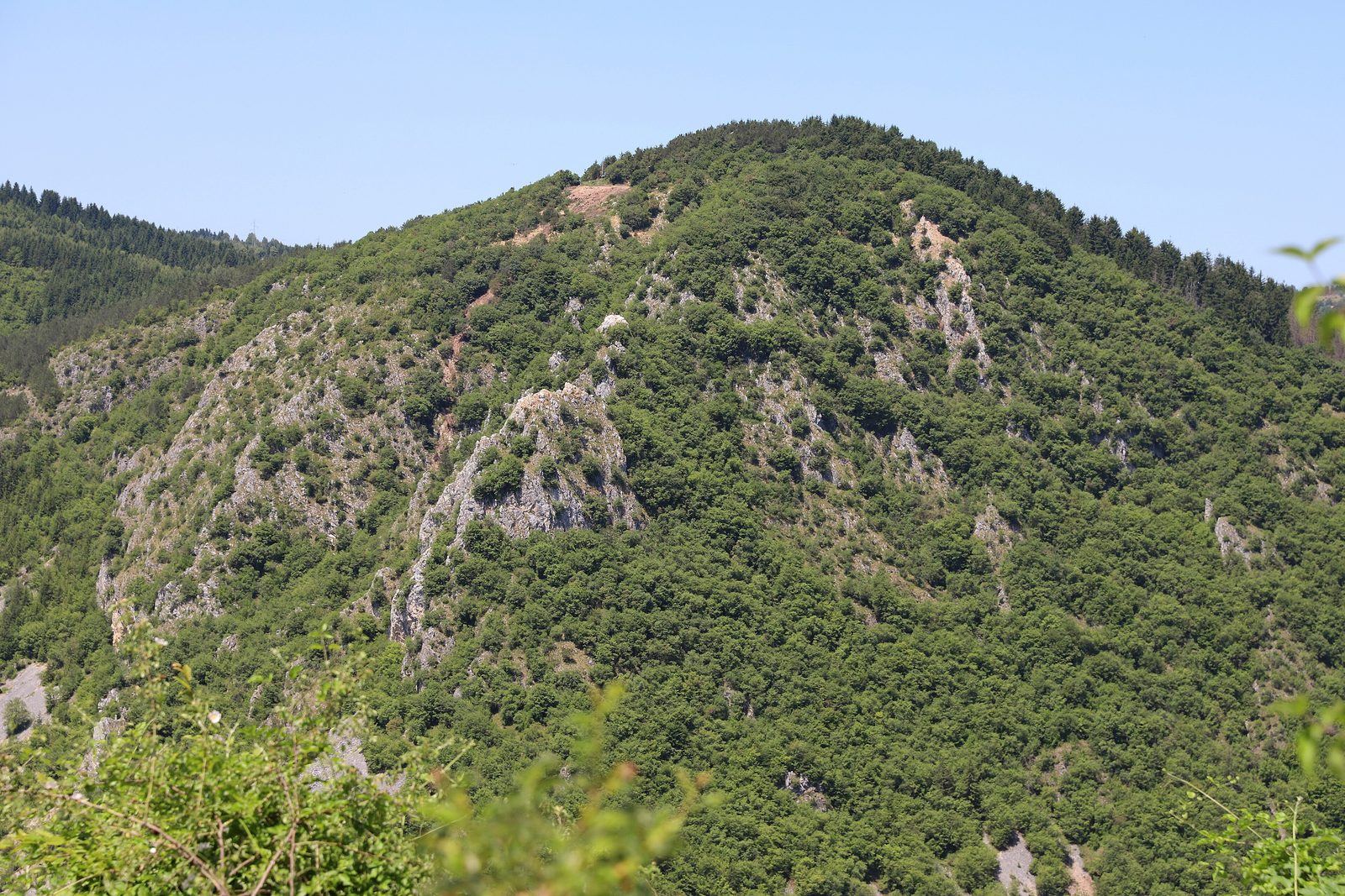 Meanders van de rivier de Uvac